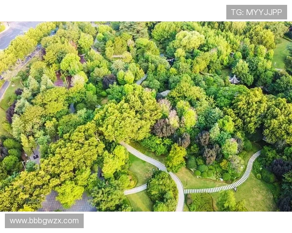 亚洲城:绿色环保理念引领的城市生态环境改善 亚洲城:绿色环保理念引领的城市生态环境改善