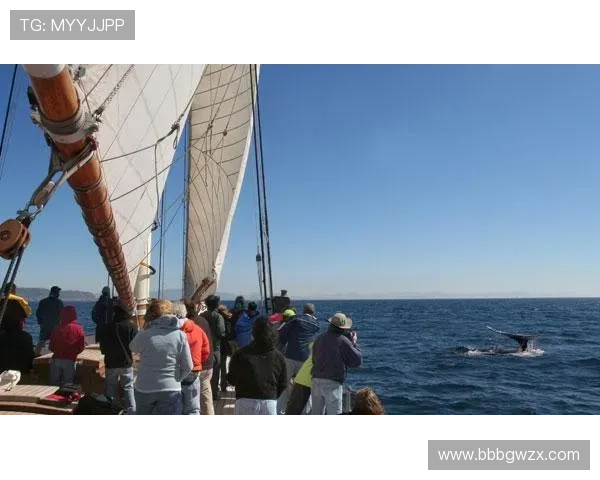 加州娱乐平台：深入了解加州娱乐平台的安全保障措施与用户隐私保护