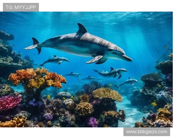 大众娱乐在线：多平台同步推送让你随时随地沉浸在娱乐的海洋中